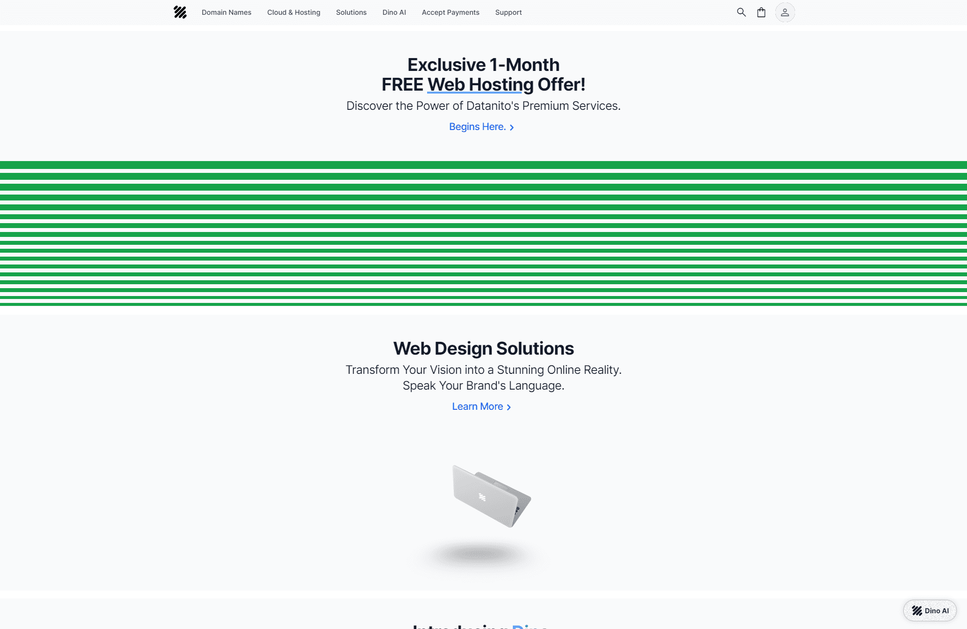 Datanito Corporate Website System